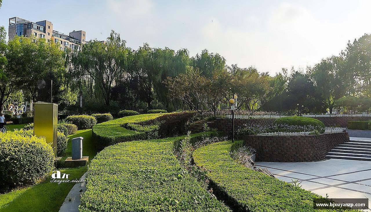 摩根体育官方网站奋力前行，勇往直前